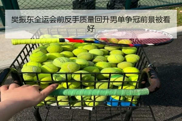樊振东全运会前反手质量回升男单争冠前景被看好（ODSPORTS）