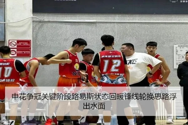 申花争冠关键阶段路易斯状态回暖锋线轮换思路浮出水面 | ODSPORTS